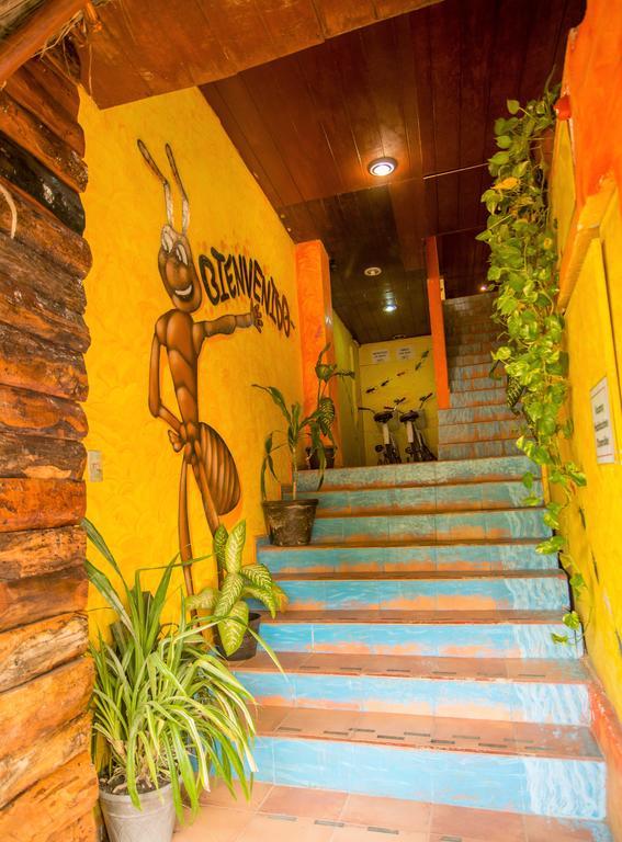 Hotel El Hormiguero Playa del Carmen Esterno foto